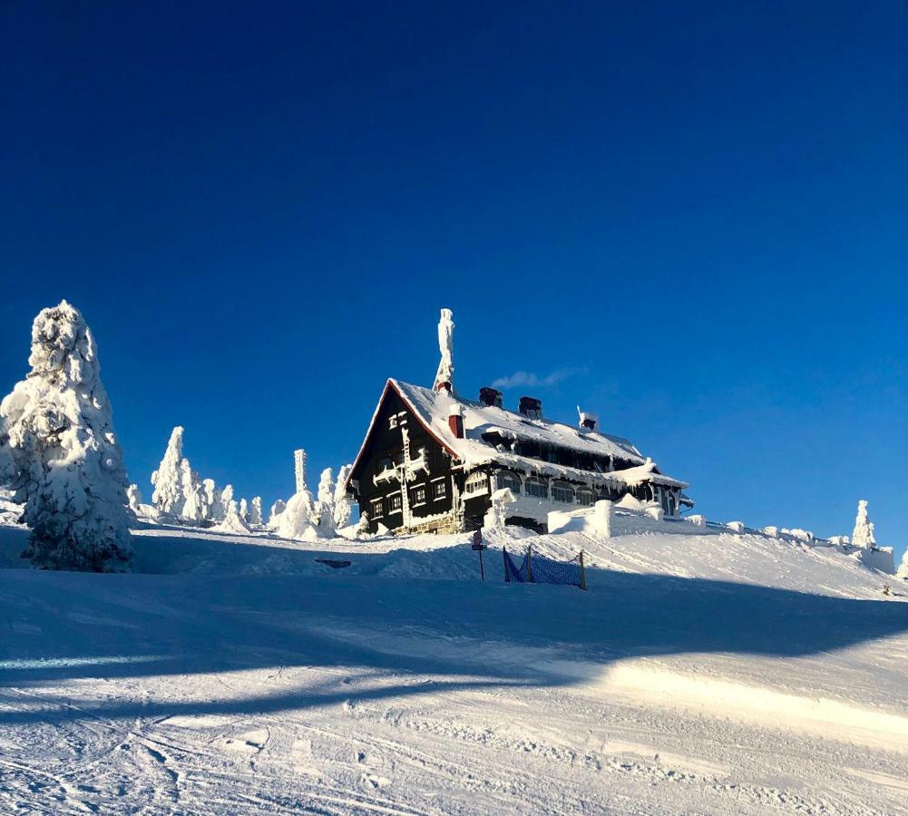 Ski Sun Sea - Rodzinny Apartament Pod Gondola Świeradów-Zdrój Екстериор снимка